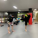 라운드하우스 이미지