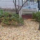 신중동이발소 이미지