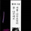 봄나무 - 강릉시 솔올로5번길 52 | 봄나무