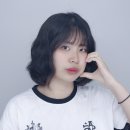 도화동물병원 | 다 비틀어진 나의 땅에