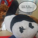 경동타올 이미지