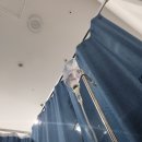 송파365의원 | [송파 365의원] 마이어스 칵테일 주사 후기