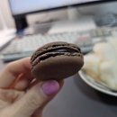 마카롱과의 달콤한 데이트 이미지