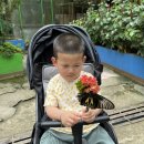 이도윤농장 이미지