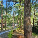 에듀에코 | 바기오 이에듀어학원 에코 캠퍼스 후기｜클락공항 도착부터 픽업까지