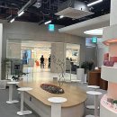 댕댕이미용실 이미지