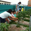 운리초등학교 이미지