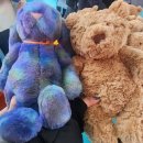 Blossom for you | 젤리캣 버니(Jellycat bunny) 종류와 가격 알아보기 + 팝업 우주 버니