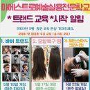 마에스트로예술실용전문학교