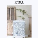 톰그레이하운드 이미지