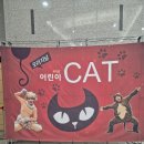 가족 뮤지컬 어린이 캣 | [어린이 뮤지컬] 오리지널 어린이 캣 뮤지컬_과천과학관 어울림홀 주차