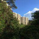 현진에버빌3차공인중개사사무소 이미지