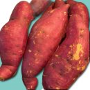 주식회사 팜2팜 이미지