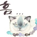 몽주택 이미지