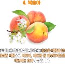 디마레의원 이미지