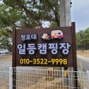 충청남도 태안군 청포대일등캠핑장, 후기, 주차, 연락처