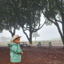 신의목장 | 26개월 아이와 제주 승마체험 목장카페 밭디 리얼 후기