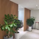 지성한방병원 이미지