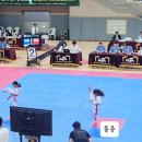 동준태권도 이미지