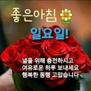 선물같은 그 대통령 이미지