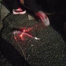 선창가 민박 이미지