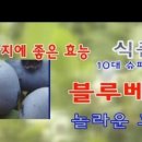 청양친환경블루베리농장 이미지