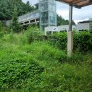 필동어린이집 이미지