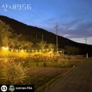 산내956 이미지