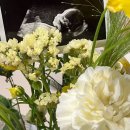 가보생활건강 - 밀양시 점필재로 43 | [33주-38주 예비말띠맘] 악명높은 임신 극후반을 이겨낸 임산부의 생활 (임신 후기 여행,