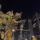 영번지식당 | 역삼 꽃새우 영번지｜🦐 역삼 해물 맛집 신동엽 짠한형 추천 맛집 꽃새우회부터 독도새우라면까지...