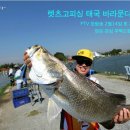 주물럭의 묻지마이벤트 해봅니다 ㅎ