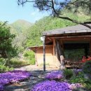 산골초가 이미지