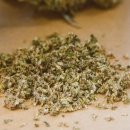 오로라테크 이미지