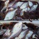 (주)자미