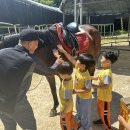 금성유치원 이미지