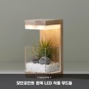 원목 트리 led무드등 | 집들이 선물 고민 끝! 모던포인트 원목 LED 식물 무드등으로 센스 있게