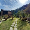 수류화개원 이미지