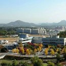 제천시립도서관 | 제천시립도서관으로 떠나는 힐링 여행📚