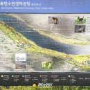 북면생태공원(다목적광장) 이미지