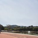 서 동 | [부산/금정구] 아이들과 캠크닉 자전거와 킥보드 타기 좋은 '부산 스포원파크'