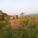 재희농장 이미지