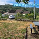 강태혁공인중개사사무소 이미지