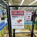 하나로마트 앞 (옥외1) | 일산 하나로마트 여름 김장 후기