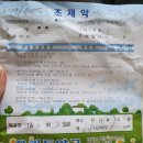 힐링윤치과의원 네이버블로그