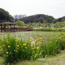 선암호수공원축구장 이미지
