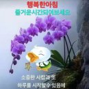 샬롬 네이버블로그
