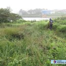 신암면 조곡보건진료소 | 예산군 신암면 조곡보건진료소 옆에서 벌초하고 왔습니다.&amp;덕산면벌초,오가면벌초,벌초,벌초대행,벌초...