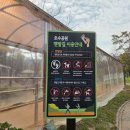 호수공원_희망의동산 이미지