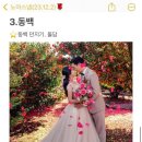 W02💍 [노아스냅/제주앤샵/이주희플라워] 행복했던 12월 동백 제주스냅 노아스냅 촬영 후기