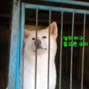 바라